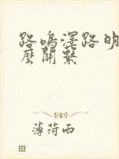 路鸣泽路明非什么关系