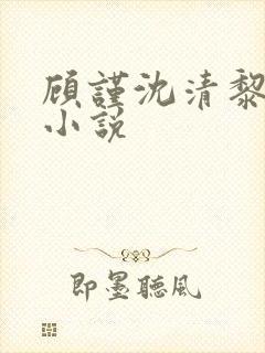 顾谨沈清黎全文小说