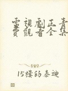 电视剧正青春免费观看全集高清