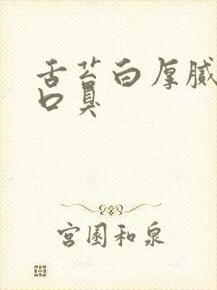 舌苔白厚腻口苦口臭