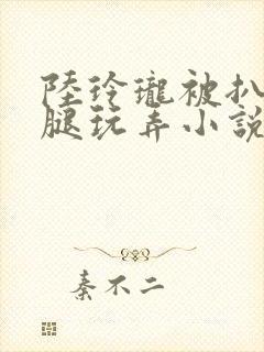 陆玲珑被扒开双腿玩弄小说免费阅读