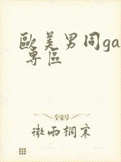 欧美男同gay 专区