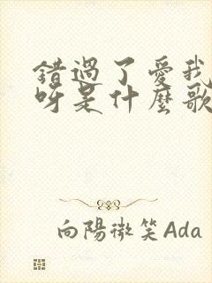 错过了爱我的人呀是什么歌