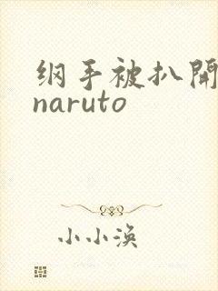 纲手被扒开狂揉naruto