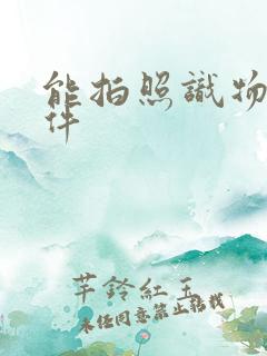 能拍照识物的软件