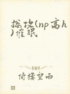 总攻(np高h)催眠