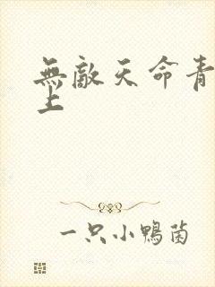 无敌天命青鸾峰上