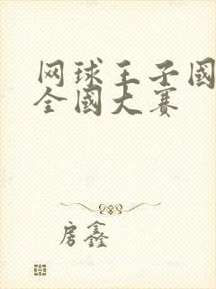 网球王子国语版全国大赛