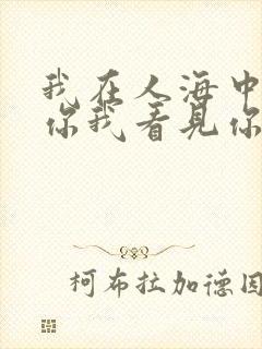 我在人海中看见你我看见你在人海中是什么歌
