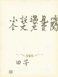 小说遇见傅先生全文免费阅读