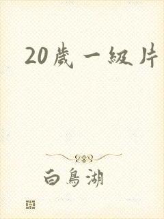 20岁一级片