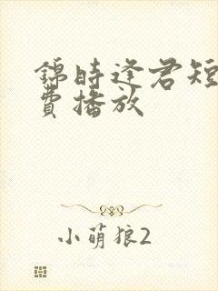 锦时逢君短剧免费播放