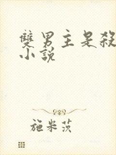 双男主是杀手的小说