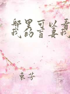 哪里可以看全集我的盲妻我的心短剧