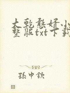大乾憨婿小说完整版txt下载