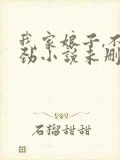 我家娘子,不对劲小说未删版