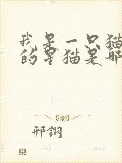 我是一只猫快乐的星猫是哪个动画片