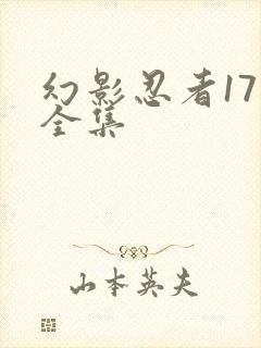 幻影忍者17季全集