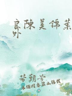 良陈美锦叶限番外