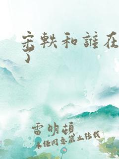 宋轶和谁在一起了