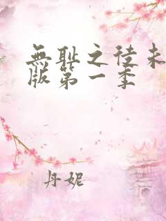 无耻之徒未删减版第一季