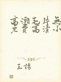 高潮毛片无遮挡免费高清小说