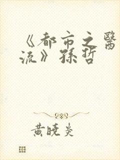 《都市之医武风流》孙哲