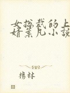 女总裁的上门女婿叶凡小说