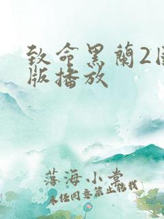 致命黑兰2国语版播放