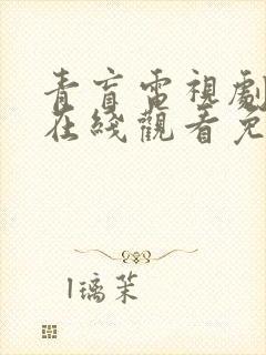 青盲电视剧全集在线观看免费播放