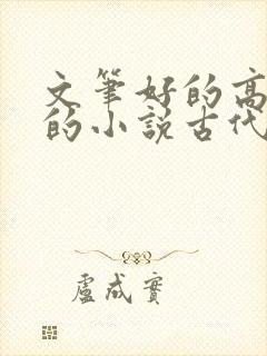 文笔好的高质量的小说古代言情