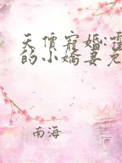 天价宠婚:霍总的小娇妻免费阅读