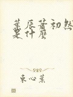 叶辰萧初然结局是什么