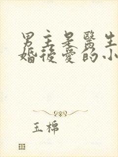 男主是医生的先婚后爱的小说