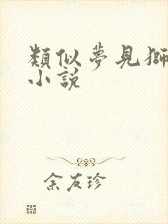 类似梦见狮子的小说