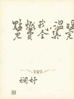 点燃我,温暖你免费全集完整版