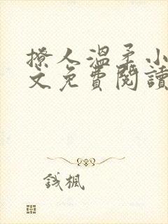 撩人温柔小说全文免费阅读无弹窗