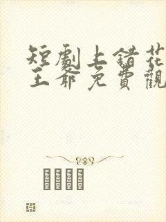 短剧上错花轿嫁王爷免费观看