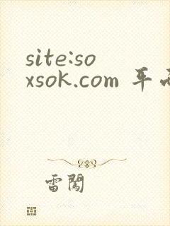 site:soxsok.com 平面设计