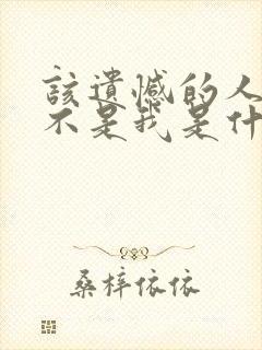 该遗憾的人是你不是我是什么歌