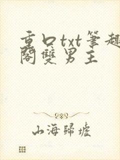 重口txt笔趣阁双男主
