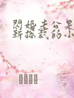 闪婚老公是公司新总裁的小说