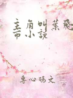 主角叫叶飞的都市小说