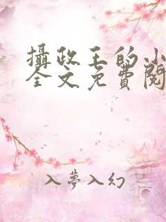 摄政王的小王妃全文免费阅读