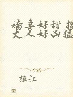 娇妻好甜 总裁大人好凶猛