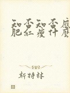 知否知否应是绿肥红瘦什么意思李清照