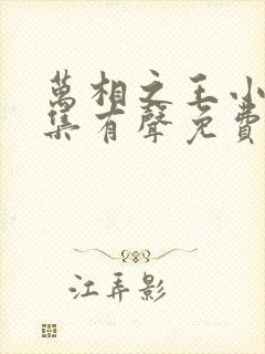 万相之王小说全集有声免费听