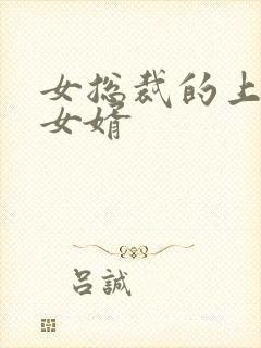 女总裁的上门 女婿