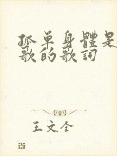 孤单身体是哪首歌的歌词