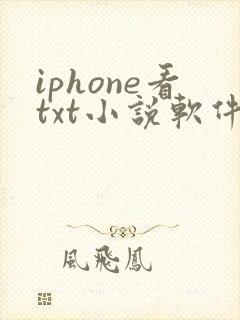 iphone看txt小说软件